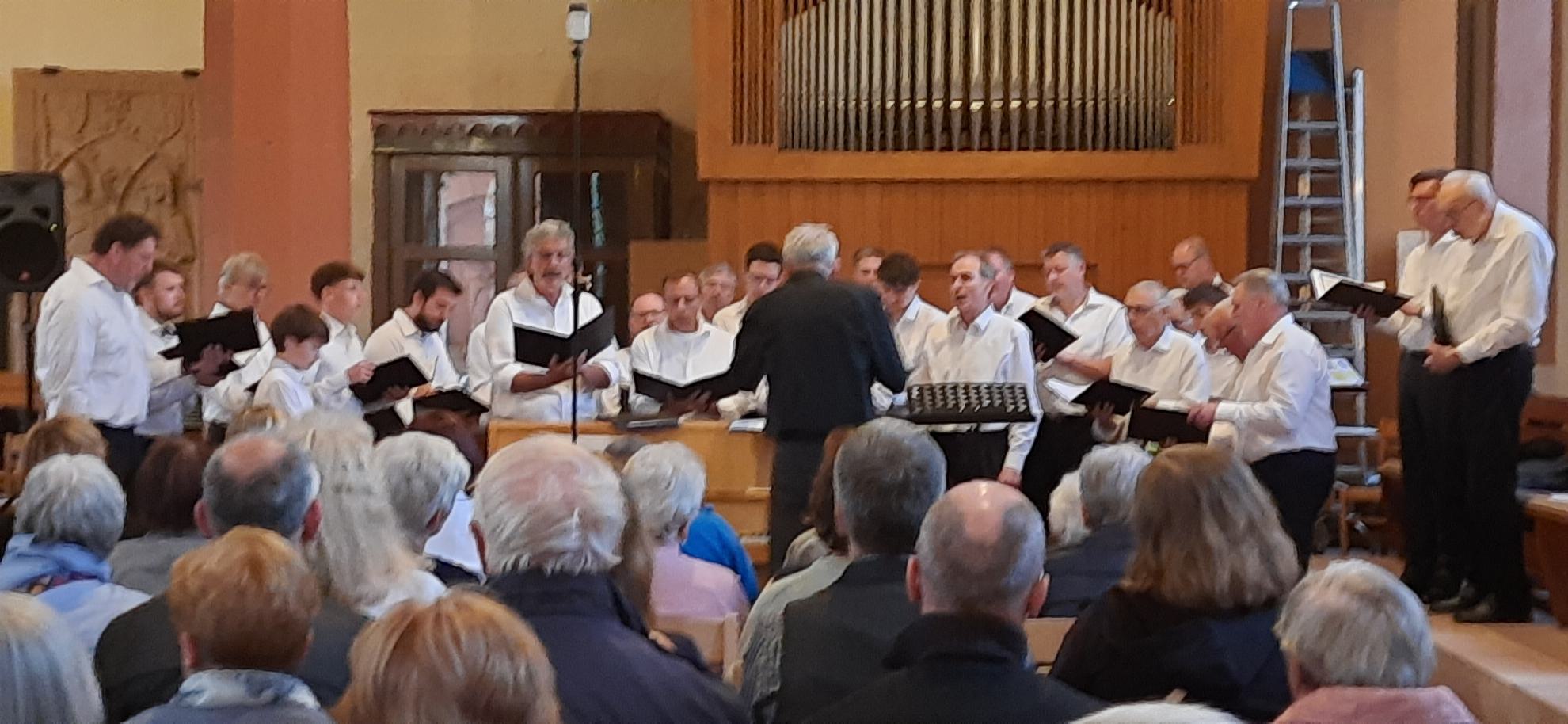 Der Männerchor des MGV singverein Freiheit beim Sommerkonzert 2024. Im Vordergrund Zuschauer, im Hintergrund die Orgel der evangelischen Stadtkirche.